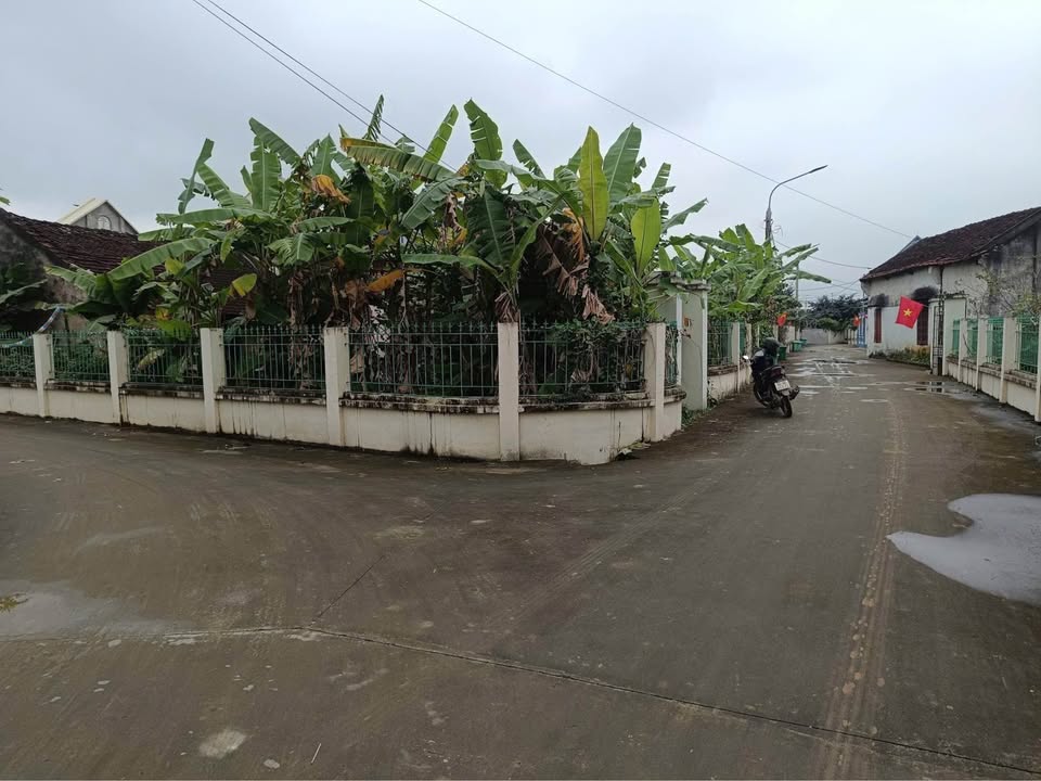 Đất thổ cư Đông Minh 392m² giá đầu tư - Cơ hội không thể bỏ lỡ!