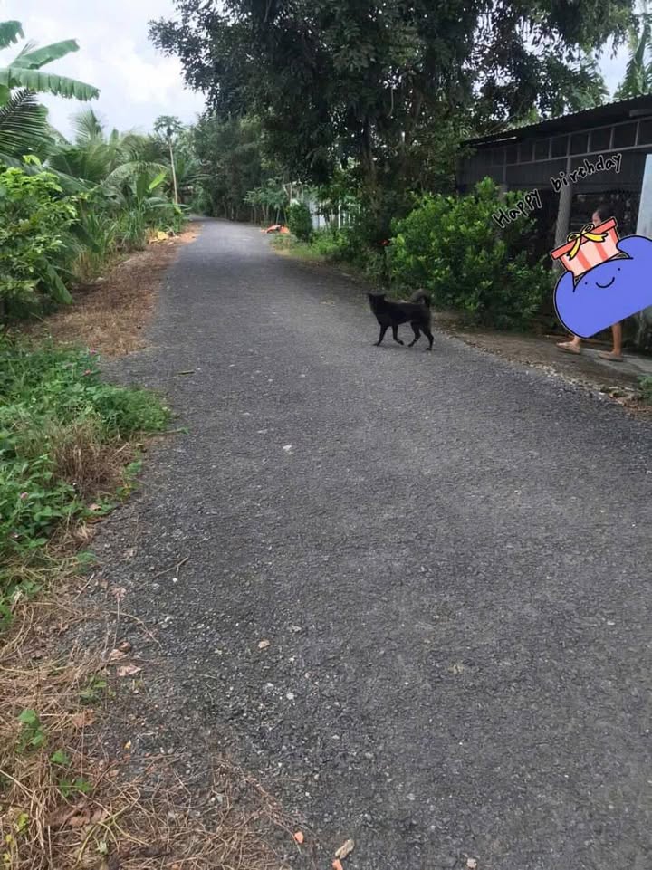 Đất nền Bình Phước, Long Hồ 117m² giá 300 triệu - Sổ đỏ chính chủ, thương lượng nhẹ!