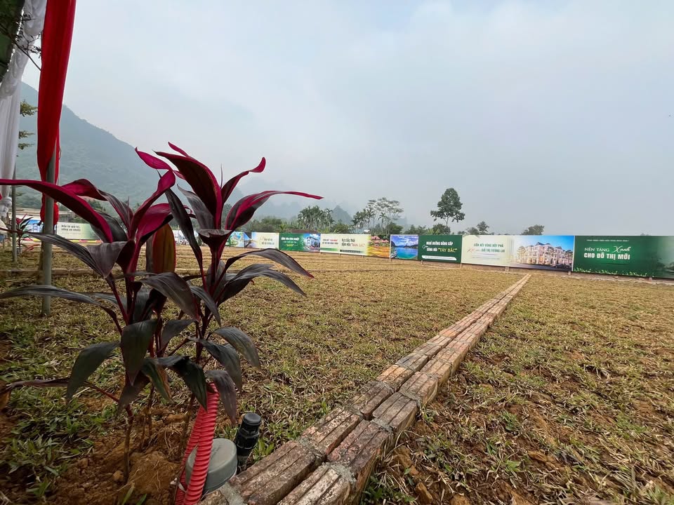 Đất nền Phú Cát - Quốc Oai 100m² giá 2.8 tỷ - Cơ hội đầu tư sinh lời cao!