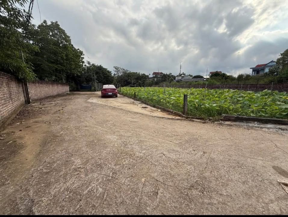 Đất thổ cư 100m² thôn 3 Phú Cát giá chỉ 1.8 tỷ - Chính chủ bán gấp!