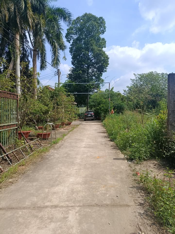 Đất thổ cư Bàu Cạn, Long Thành 250m² giá 1.625 tỷ - Đầu tư sinh lời ngay!