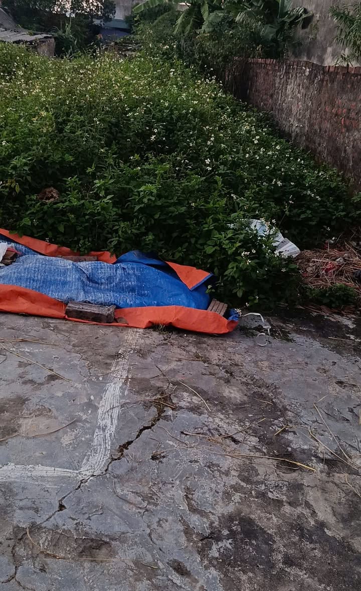 Đất nền Thôn Trung Ngọc, Hưng Hà 100m² giá 400 triệu - Tiềm năng tăng giá mạnh!