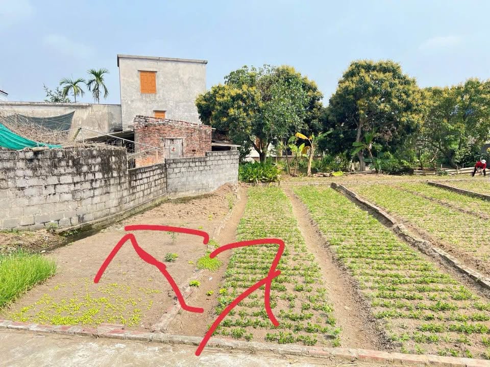 Đất nền Vũ Lễ, Kiến Xương 78.8m² giá 700 triệu - Đầu tư tiềm năng sinh lời!