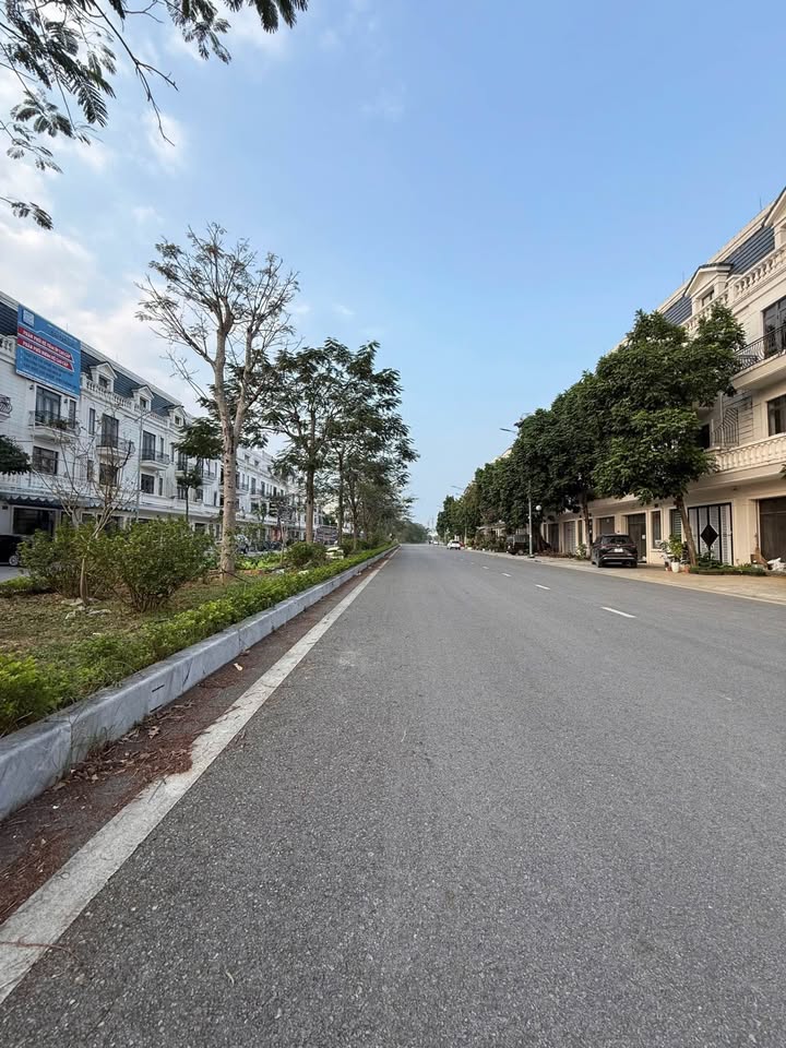 Nhà bán Tố Hữu, Đông Hải, Thanh Hóa 65m² giá 5.15 tỷ - Kinh doanh sầm uất!