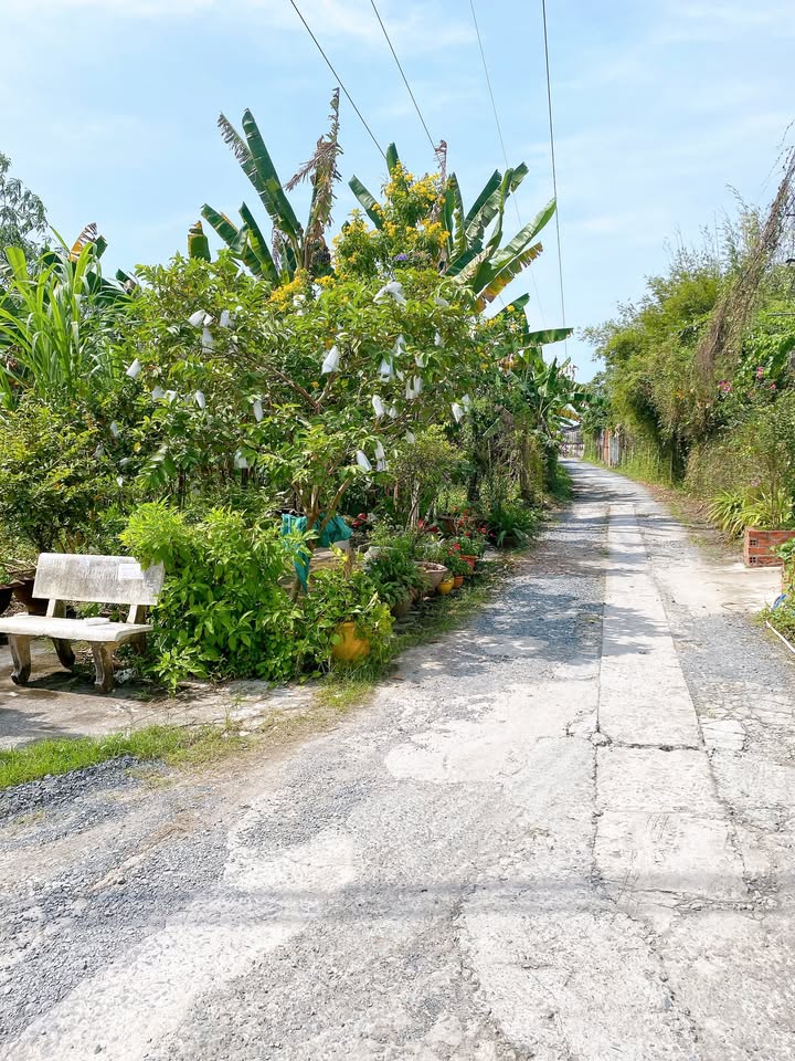 Đất nền 2 mặt tiền Nguyễn Văn Nhung, Phước Hậu 107.1m² chỉ 1.15 tỷ - Cơ hội đầu tư hấp dẫn!