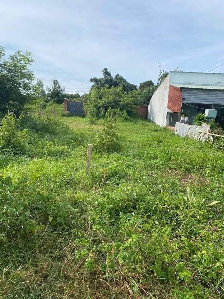 Đất thổ cư đường Nguyễn Phan Vinh, phường Ngô Mây, 150m² - Giá tốt, cơ hội đầu tư sinh lời!