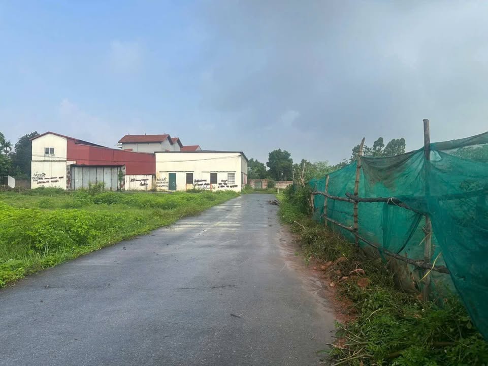 Đất nền lô góc 2 mặt tiền Quất Lưu 100m² giá 2.9 tỷ - Đầu tư sinh lời ngay!