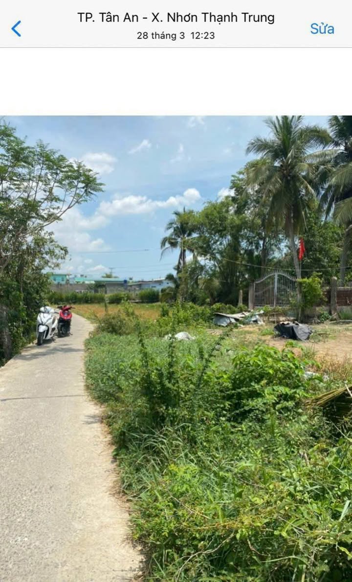 Đất nền Nhơn Thạnh Trung Tân An 115m² giá 580 triệu - Đầu tư tiềm năng!