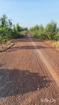 Đất nông nghiệp 15000m² xã Tân Hiệp, Thạnh Hóa - Giá chỉ 1.715 tỷ!