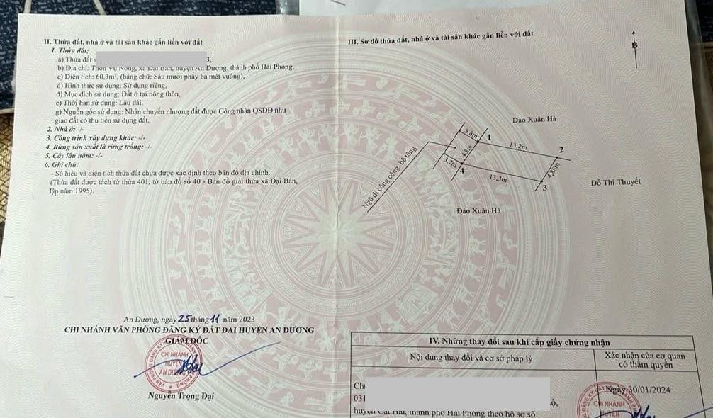 Đất nền Đại Bản, An Dương 60m² giá 700 triệu - Đầu tư sinh lời hấp dẫn!