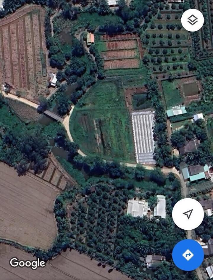 Đất nền 900m² tại Thới An Đông, Ô Môn, Cần Thơ - Giá chỉ 2.5 tỷ, thương lượng!