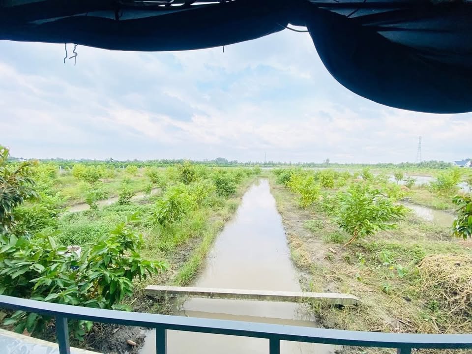 Farm đất vườn Đông Thành, 2000m² giá 490 triệu - Cơ hội đầu tư sinh lời!