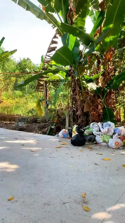 Đất nền 170m² Cái Răng, Cần Thơ - Mặt tiền sông Cái Răng, giá thỏa thuận!