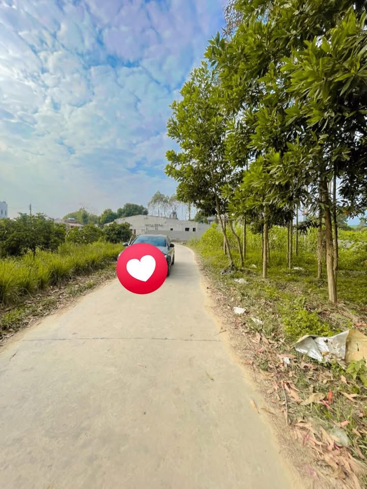 Đất thổ cư 210m², 500m² tại Đồng Vương - Giá chỉ 500 triệu - Đầu tư sinh lời!