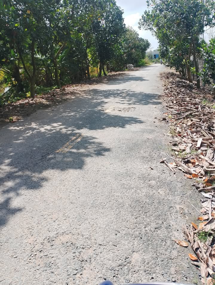 Đất vườn 8800m² tại xã Bình Hàng Trung, giá 4.5 tỷ - Cơ hội đầu tư sinh lời!