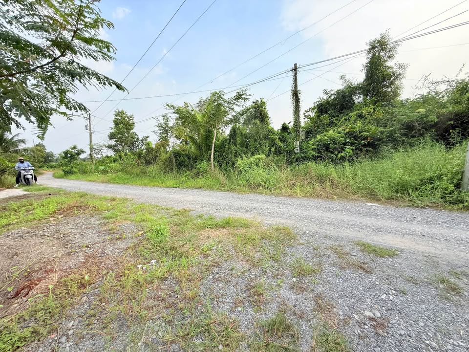 Đất vườn 3017m² tại Lương Bình, Bến Lức - Giá 4 tỷ, thương lượng ngay!