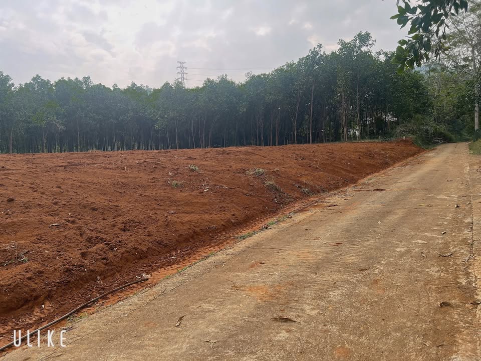 Đất nền Ngọc Phụng, Thường Xuân 111m² giá chỉ từ 185 triệu - Cơ hội đầu tư tuyệt vời!