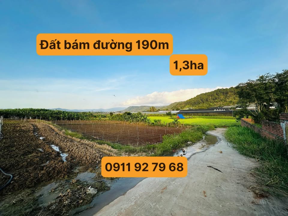 Đất Farm 1,3ha N’Thôn Hạ, Đức Trọng - Giá chỉ 11.7 tỷ - Tiềm năng phát triển lớn!