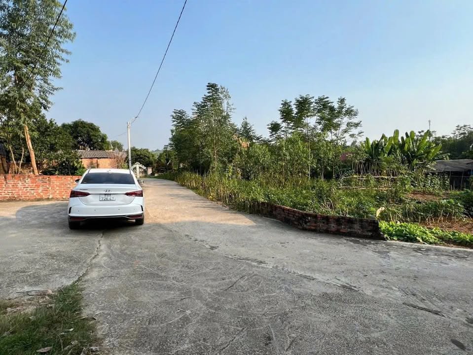 Lô đất đẹp tại Thôn Đình, Thanh Vân 115m² giá chỉ 1 tỷ - Đầu tư sinh lời ngay!