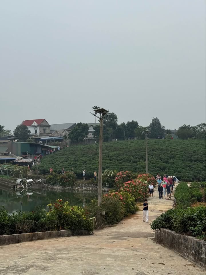 Đất thổ cư Tân Cương 85m² giá 800 triệu - Tiềm năng tăng giá mạnh!