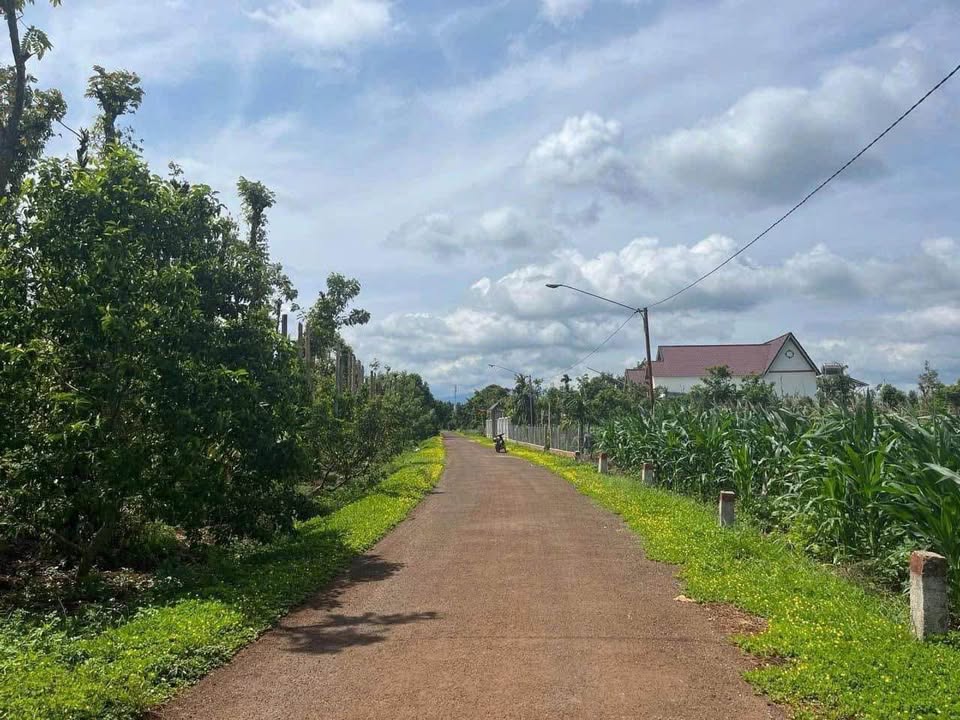 Đất nền Cư Kuin Đắk Lắk 200m² giá 300 triệu - Đầu tư sinh lời nhanh chóng!