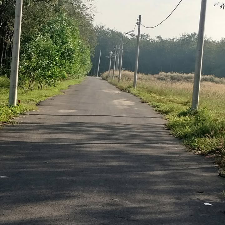 Đất nền Chánh Phú Hòa 200m² giá 1.1 tỷ - Cơ hội đầu tư hấp dẫn!