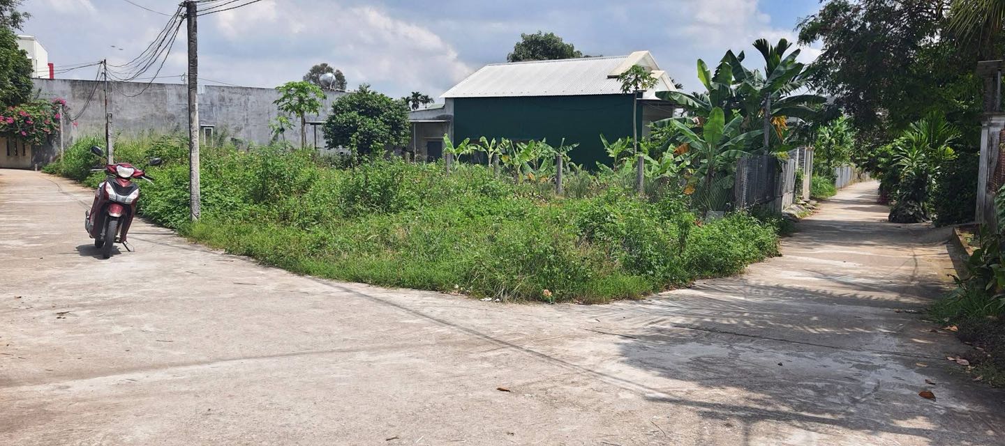 Đất Nghĩa Thuận Tư Nghĩa 110m² giá 500 triệu - Lô góc hai mặt tiền thuận lợi!