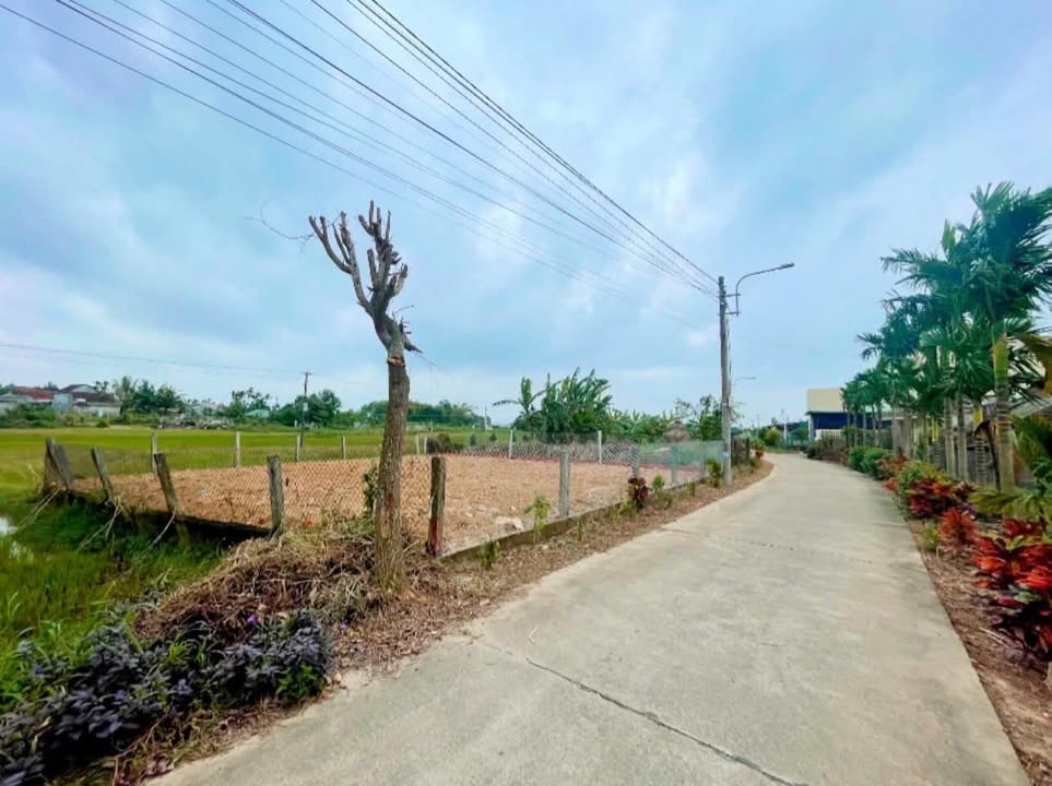 Đất vườn Trương Quang Trọng 200m² giá chỉ 800 triệu - Đầu tư sinh lời ngay!