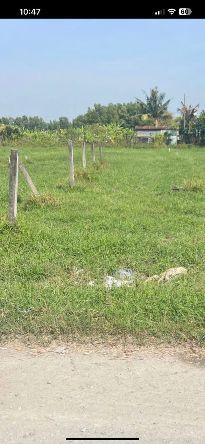 Đất vườn 330m² Mỹ Hạnh Bắc, giá 1.29 tỷ - Đầu tư sinh lời ngay!