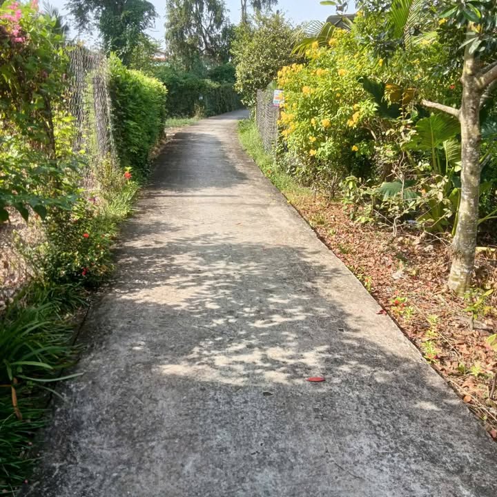 Nhà vườn ấp 5 xã Lạc Tấn 826m² giá 2.5 tỷ - Sẵn sàng nhận chủ mới!