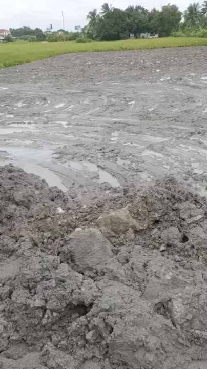 Đất thổ cư Ấp 1 Nhị Thành 247.5m² giá 1.4 tỷ - Sổ đỏ chính chủ, đầu tư sinh lời!