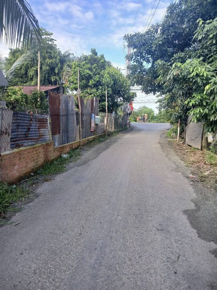 Đất nền mặt tiền đường An Hòa, xã Mỹ Thạnh Đông, Đức Huệ, 120m² giá 580 triệu - Cơ hội đầu tư tốt!