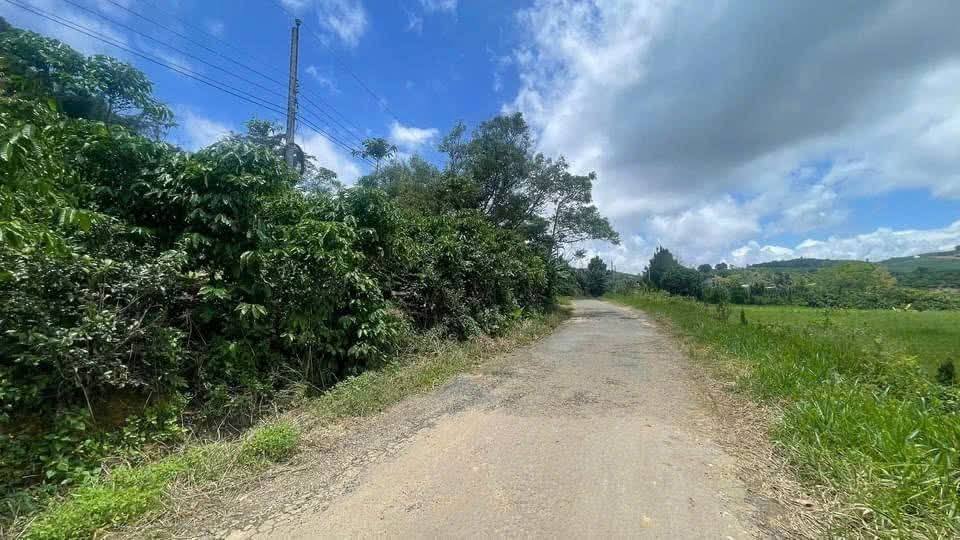 Đất Lộc Thành, Bảo Lâm 6000m² giá 6 tỷ - Lô đất đẹp, sổ hồng đầy đủ!