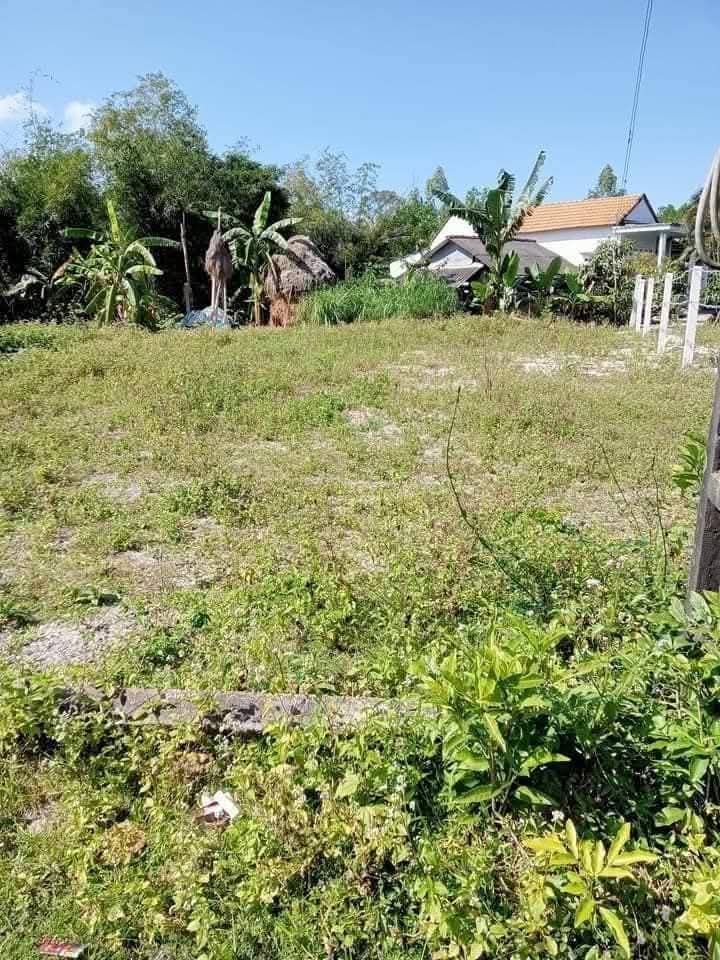 Đất nền Đức Lân 200m² giá chỉ 260 triệu - Cơ hội đầu tư hấp dẫn!