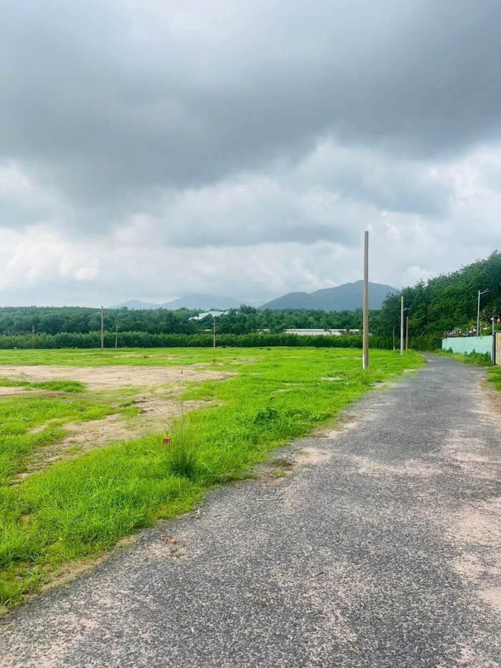 Đất nền sổ hồng chính chủ tại Suối Nhum, Tân Thành, Bà Rịa - Vũng Tàu 110m² chỉ 385 triệu