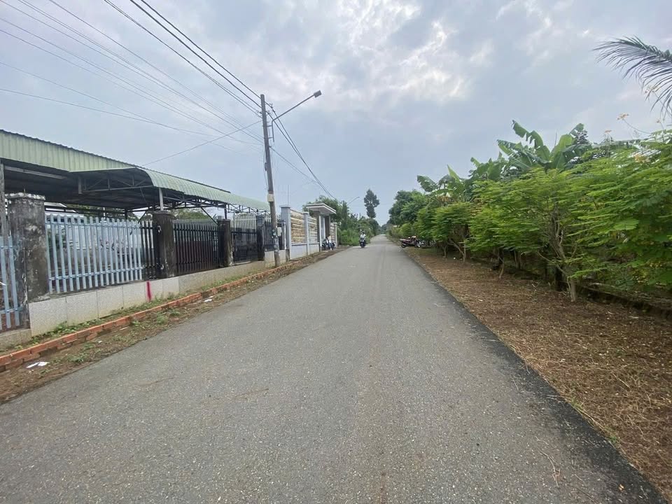 Đất nền đẹp phường Tam Long 516m² giá 3.7 tỷ - Cơ hội đầu tư sinh lời!