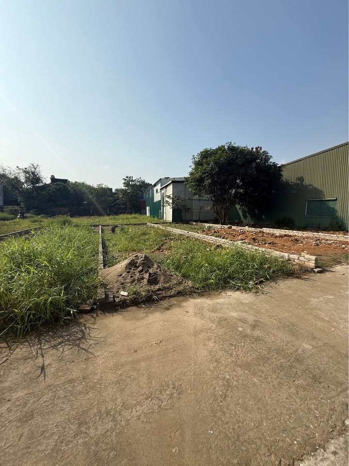 Đất thổ cư Hòa Long 76,7m² giá 3 tỷ - Chỉ cần đến xem là thích!