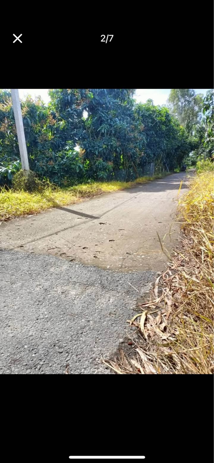 Đất vườn 4.568,8m² xã Bình Thành, giá 1,65 tỷ - Mặt tiền đường nhựa!