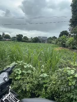 Đất Hòa Phú Buôn Ma Thuột 470m² giá 1.3 tỷ - Cơ hội đầu tư sinh lời!