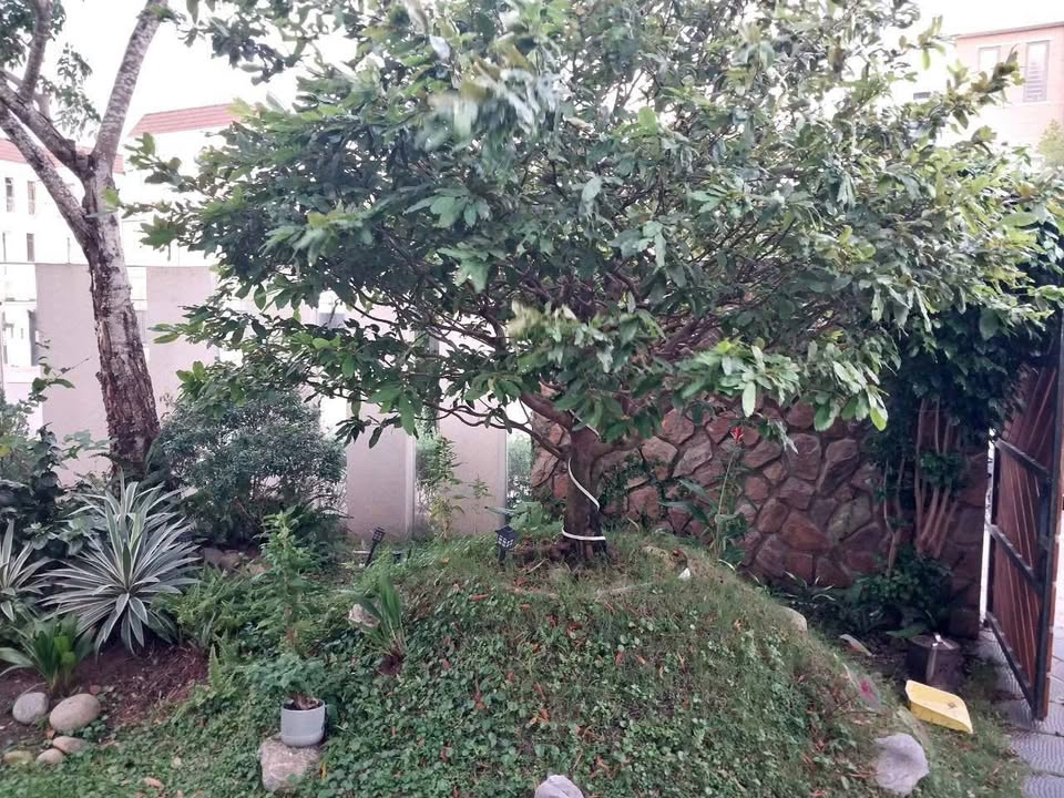 Biệt thự cao cấp KĐT Tây Bắc Rạch Giá 294m² - Trải nghiệm nghỉ dưỡng đẳng cấp