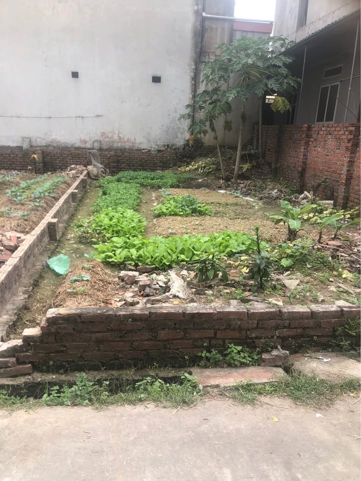 Đất nền Ninh Xá, Thuận Thành 50m² giá chỉ 1.4 tỷ - Mặt tiền 4.2m thoáng đãng