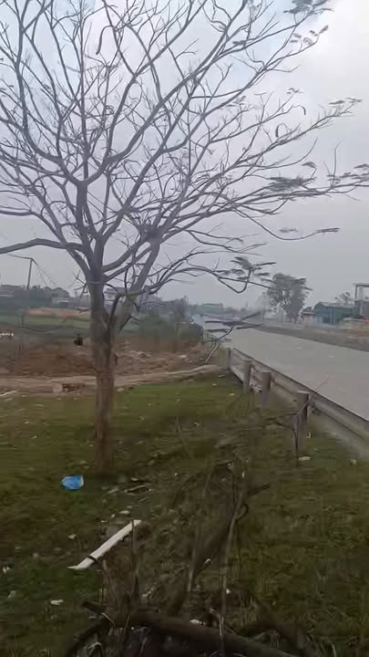 Đất nền Cẩm Quang, Cẩm Xuyên 200m² - Kinh doanh tuyệt vời!