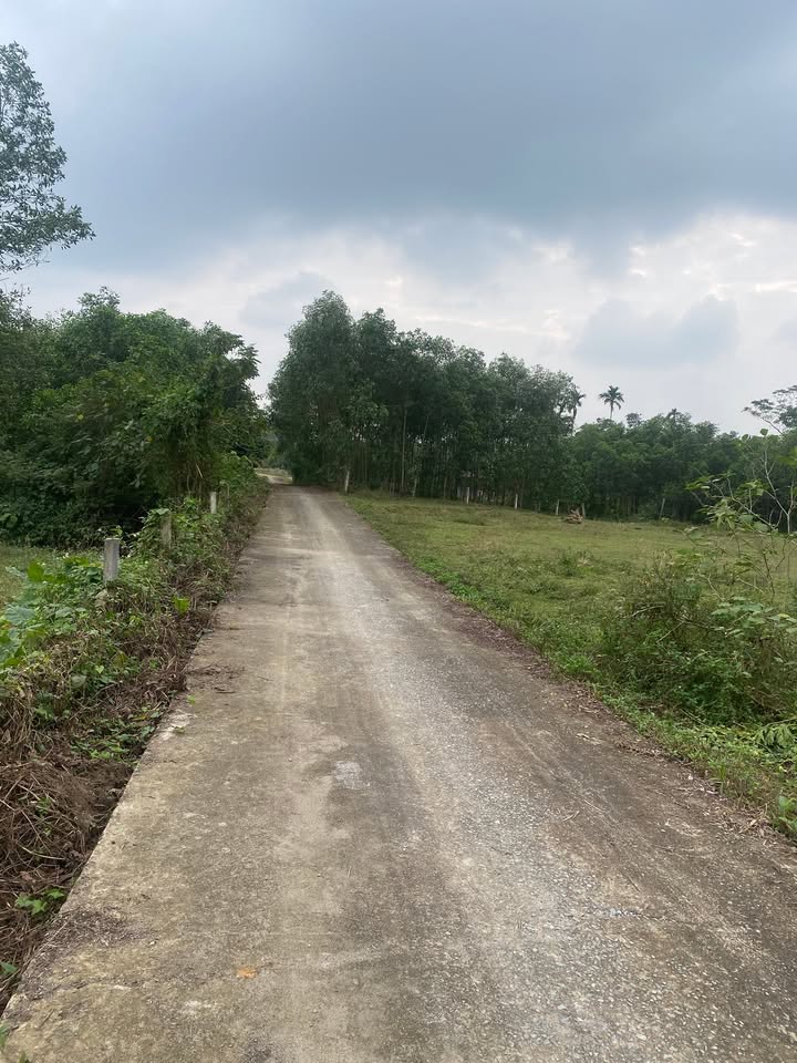 Đất nền Hương Bình, Hương Khê 168m² - Mặt tiền đường rộng, thuận tiện xây dựng!