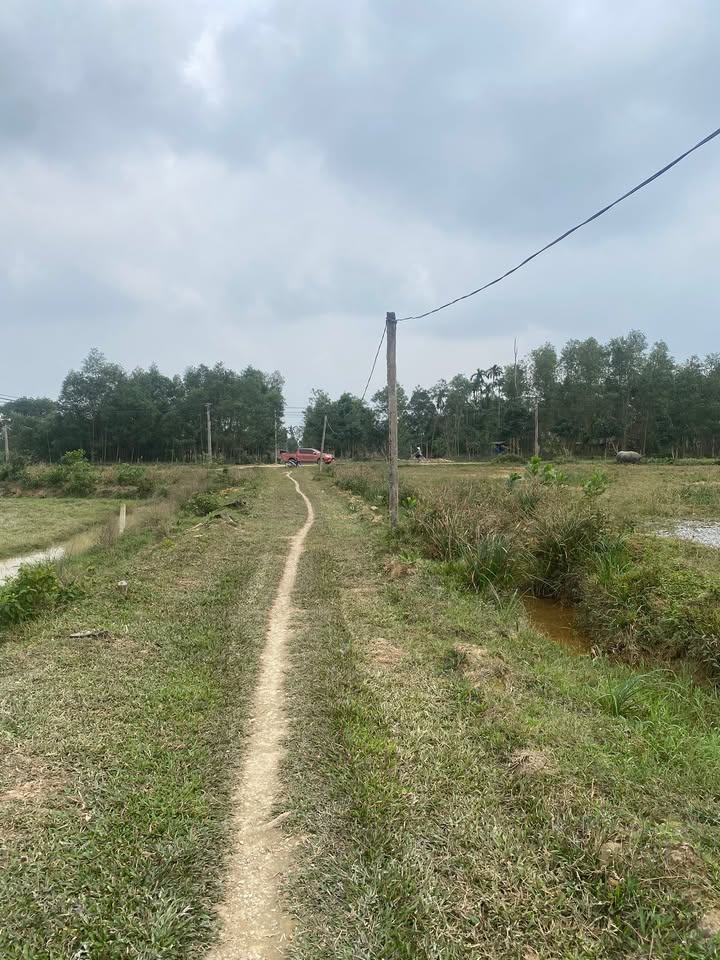 Đất Hương Bình, Hương Khê, Hà Tĩnh 2576m² - Cơ hội đầu tư tuyệt vời!