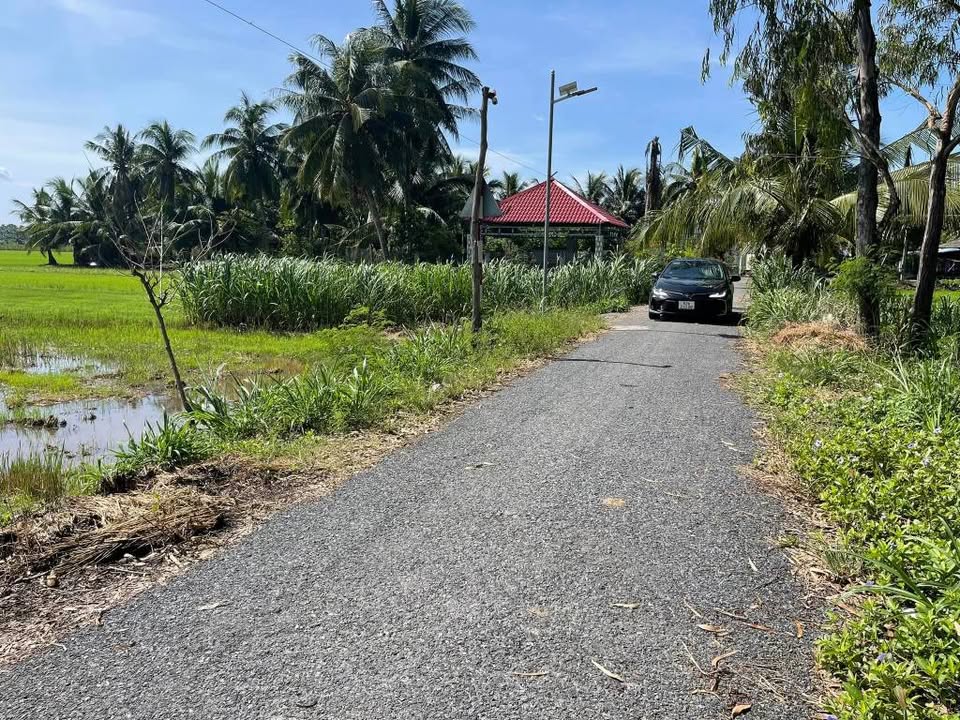 Đất nền ấp Thới An A, xã Long Vĩnh, Gò Công Tây 2511m² giá 350 triệu - Sổ đỏ chính chủ!