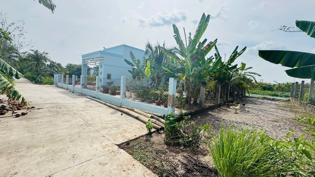 Đất nền đẹp Phường 7 Bến Tre 187m² giá 730 triệu - Đầu tư sinh lời ngay!