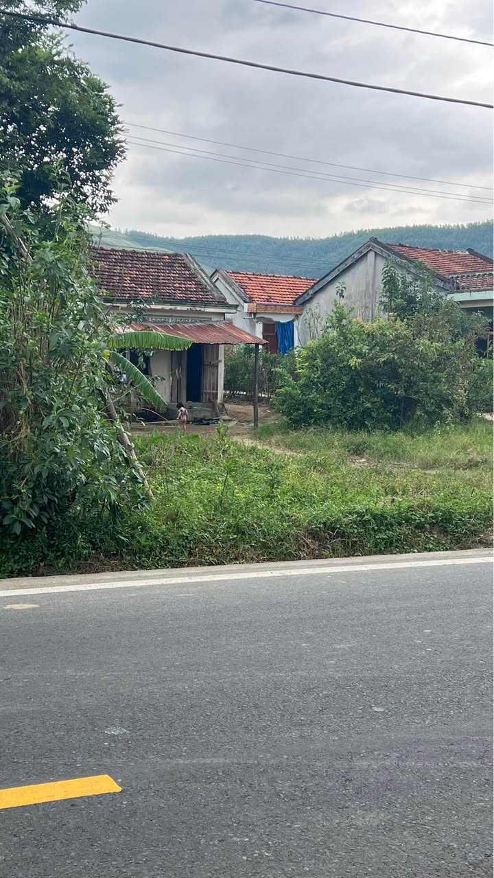 Đất mặt tiền Quốc lộ 25, Thôn Suối Câu, 140m² chỉ 170 triệu - Cơ hội đầu tư tuyệt vời!