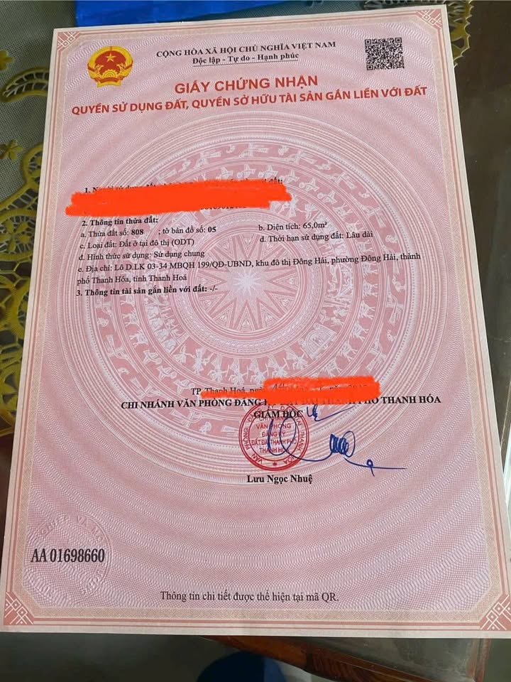 Đất nền D3.34 MB199 Đông Hải 65m² giá 3 tỷ - Đầu tư sinh lời ngay!