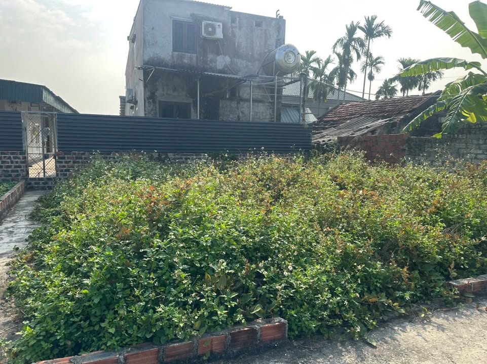 Đất nền Kênh Giang Hải Phòng 74.8m² giá 700 triệu - Đầu tư sinh lời cao!