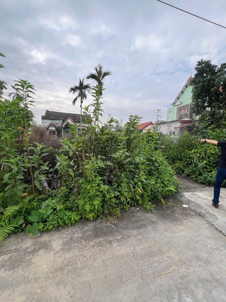 Đất nền Đoàn Xá, Kiến Thụy, Hải Phòng 974m² - Đầu tư sinh lời ngay!